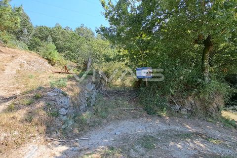 Helårsgrund i Amares, Braga, Amares - € 25.000 | Ref: 01-3266 - foto 2
