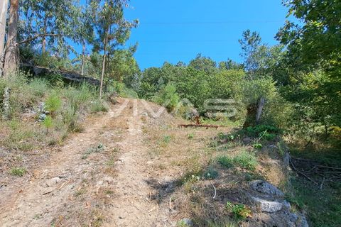 Helårsgrund i Amares, Braga, Amares - € 25.000 | Ref: 01-3266 - foto 3