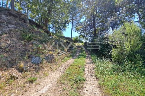 Helårsgrund i Amares, Braga, Amares - € 25.000 | Ref: 01-3266 - foto 4