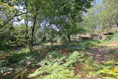 Helårsgrund i Amares, Braga, Amares - € 25.000 | Ref: 01-3266 - foto 5