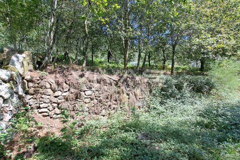 Helårsgrund i Amares, Braga, Amares - € 25.000 | Ref: 01-3266 - foto 6