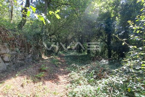 Helårsgrund i Amares, Braga, Amares - € 25.000 | Ref: 01-3266 - foto 7
