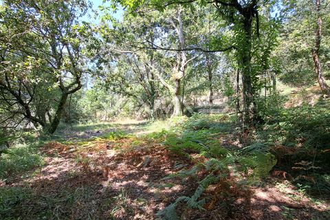 Helårsgrund i Amares, Braga, Amares - € 25.000 | Ref: 01-3266 - foto 8