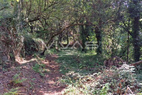 Helårsgrund i Amares, Braga, Amares - € 25.000 | Ref: 01-3266 - foto 9