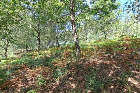 Helårsgrund i Amares, Braga, Amares - € 25.000 | Ref: 01-3266 - foto 10