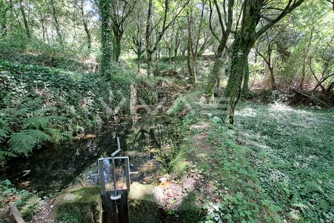 Helårsgrund i Amares, Braga, Amares - € 25.000 | Ref: 01-3266 - foto 12
