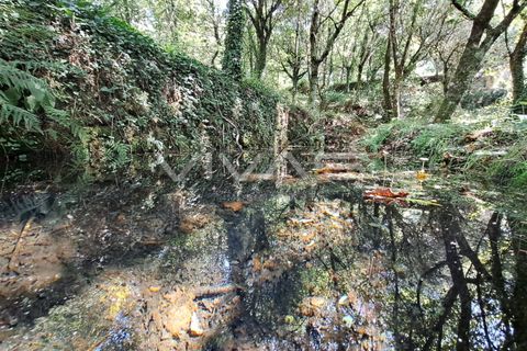 Helårsgrund i Amares, Braga, Amares - € 25.000 | Ref: 01-3266 - foto 13