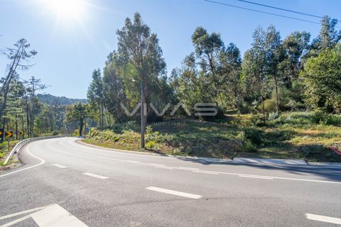 Tomt i Vila Verde, Braga, Vila Verde - € 110 000 | Ref: 01-3271 - foto 3