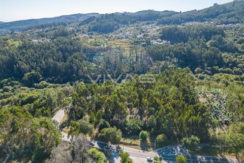 Tomt i Vila Verde, Braga, Vila Verde - € 110 000 | Ref: 01-3271 - foto 9