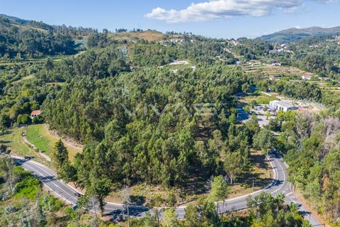 Tomt i Vila Verde, Braga, Vila Verde - € 110 000 | Ref: 01-3271 - foto 11