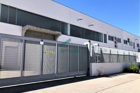 Erhvervsejendom i Modugno, Bari, Modugno - € 600.000 | Ref: 11738/2023 - foto 2