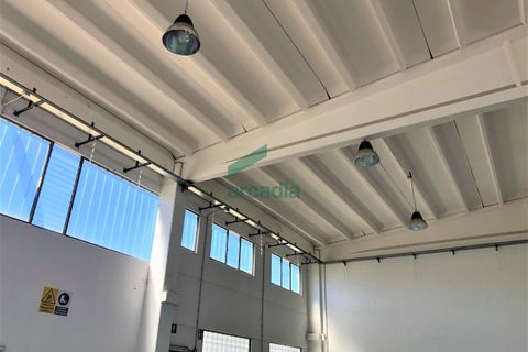 Erhvervsejendom i Modugno, Bari, Modugno - € 600.000 | Ref: 11738/2023 - foto 11