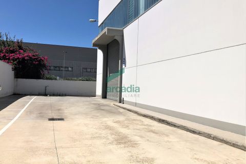 Erhvervsejendom i Modugno, Bari, Modugno - € 600.000 | Ref: 11738/2023 - foto 42