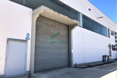 Erhvervsejendom i Modugno, Bari, Modugno - € 600.000 | Ref: 11738/2023 - foto 46