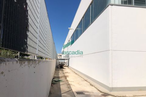 Erhvervsejendom i Modugno, Bari, Modugno - € 600.000 | Ref: 11738/2023 - foto 47
