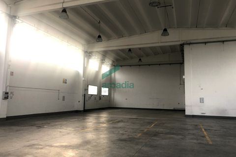 Erhvervsejendom i Modugno, Bari, Modugno - € 600.000 | Ref: 11738/2023 - foto 6