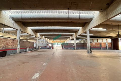 Erhvervsejendom i Bari, Bari, Bari - € 1.500.000 | Ref: 11622/2022-bis - foto 6