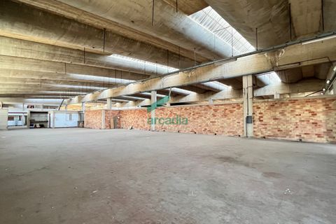 Erhvervsejendom i Bari, Bari, Bari - € 1.500.000 | Ref: 11622/2022-bis - foto 7