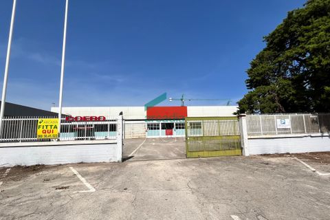 Erhvervsejendom i Bari, Bari, Bari - € 1.500.000 | Ref: 11622/2022-bis - foto 2