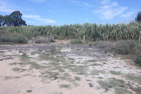 Helårsgrund i Canidelo, Porto, Canidelo - € 475.000 | Ref: 226/23 - foto 2
