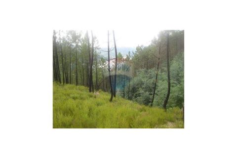 Helårsgrund i Braga, Braga, Braga - € 60.000 | Ref: 123331051-36 - foto 5