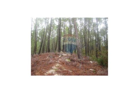 Helårsgrund i Braga, Braga, Braga - € 60.000 | Ref: 123331051-36 - foto 15