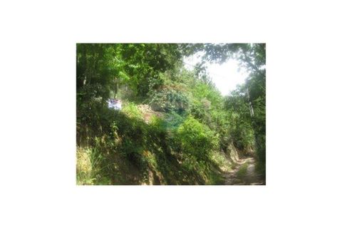 Helårsgrund i Braga, Braga, Braga - € 60.000 | Ref: 123331051-36 - foto 21