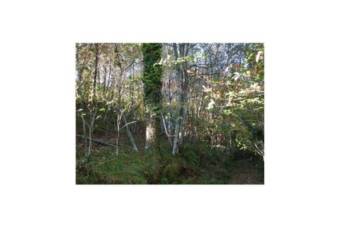 Terra a Fafe, Braga, Fafe - € 43.000 | Ref: 123331056-128 - foto 2