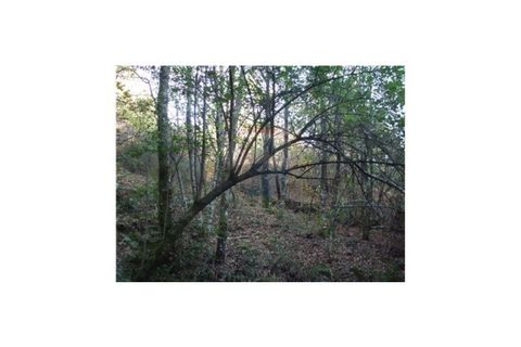 Terra a Fafe, Braga, Fafe - € 43.000 | Ref: 123331056-128 - foto 3