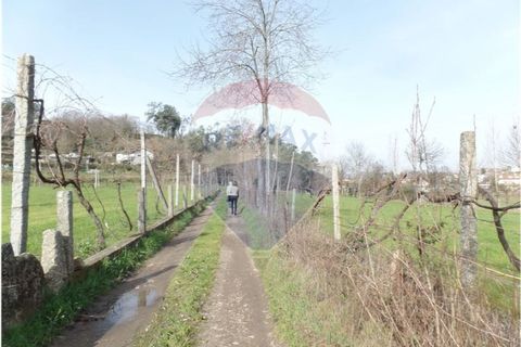 Helårsgrund i Braga, Braga, Braga - € 78.000 | Ref: 123331051-198 - foto 2