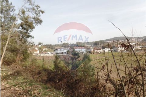 Helårsgrund i Braga, Braga, Braga - € 78.000 | Ref: 123331051-198 - foto 5