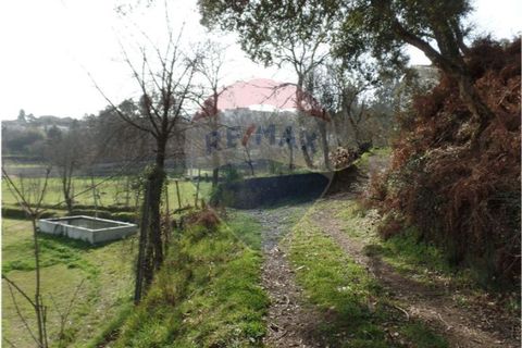Helårsgrund i Braga, Braga, Braga - € 78.000 | Ref: 123331051-198 - foto 7