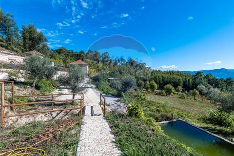Villa i Celorico de Basto, Braga, Celorico de Basto - € 289.500 | Ref: 123331028-26 - foto 30
