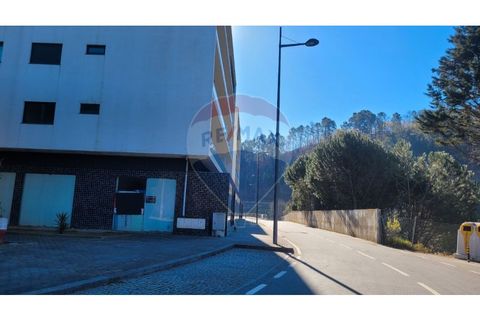Erhvervsejendom i Moimenta, Braga, Moimenta - € 150.000 | Ref: 123331056-804 - foto 10