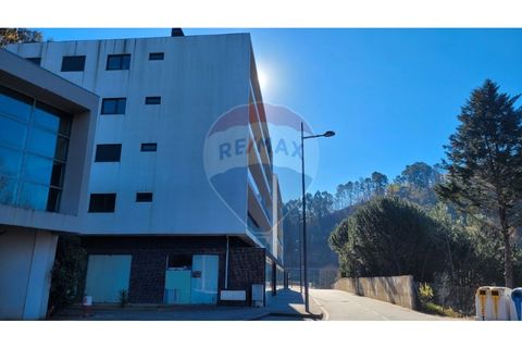Erhvervsejendom i Moimenta, Braga, Moimenta - € 150.000 | Ref: 123331056-804 - foto 8