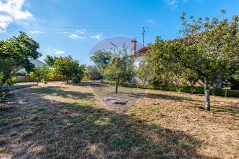 Villa i Ponte de Lima, Viana do Castelo, Ponte de Lima - € 400.000 | Ref: 123331167-306 - foto 8