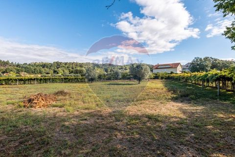 Villa i Ponte de Lima, Viana do Castelo, Ponte de Lima - € 400.000 | Ref: 123331167-306 - foto 9