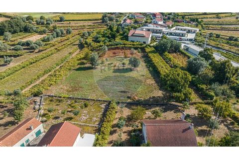 Villa i Ponte de Lima, Viana do Castelo, Ponte de Lima - € 400.000 | Ref: 123331167-306 - foto 12