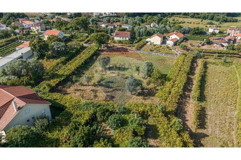 Villa i Ponte de Lima, Viana do Castelo, Ponte de Lima - € 400.000 | Ref: 123331167-306 - foto 3