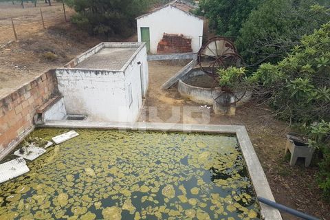Farm i Olhao, Faro, Olhao - € 550.000 | Ref: 170230082 - foto 8