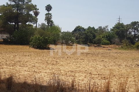 Farm i Olhao, Faro, Olhao - € 550.000 | Ref: 170230082 - foto 9