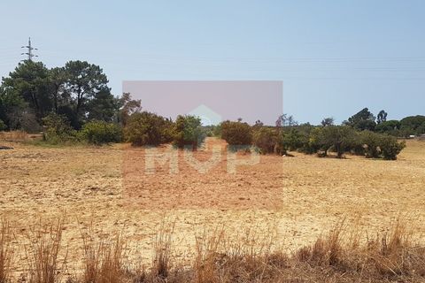 Farm i Olhao, Faro, Olhao - € 550.000 | Ref: 170230082 - foto 10