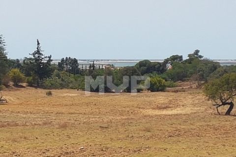 Farm i Olhao, Faro, Olhao - € 550.000 | Ref: 170230082 - foto 11