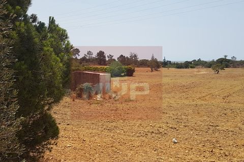 Farm i Olhao, Faro, Olhao - € 550.000 | Ref: 170230082 - foto 12