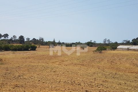 Farm i Olhao, Faro, Olhao - € 550.000 | Ref: 170230082 - foto 13