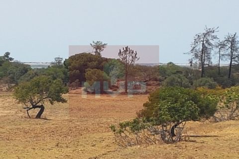 Farm i Olhao, Faro, Olhao - € 550.000 | Ref: 170230082 - foto 14