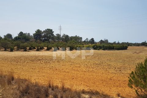 Farm i Olhao, Faro, Olhao - € 550.000 | Ref: 170230082 - foto 17