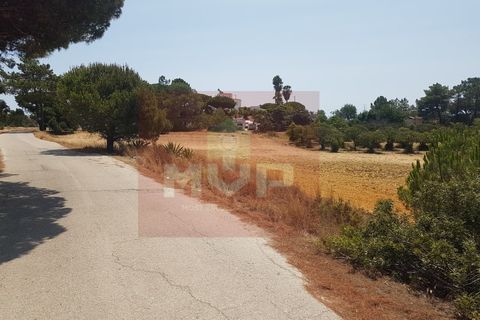 Farm i Olhao, Faro, Olhao - € 550.000 | Ref: 170230082 - foto 19