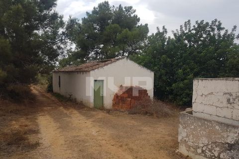 Farm i Olhao, Faro, Olhao - € 550.000 | Ref: 170230082 - foto 21