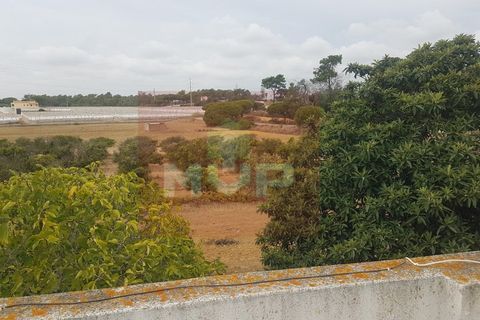 Farm i Olhao, Faro, Olhao - € 550.000 | Ref: 170230082 - foto 25